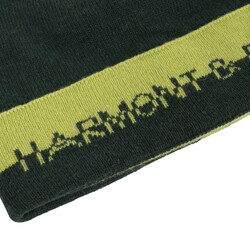 Cashmere-blend beanie with logo inlay, green, size i